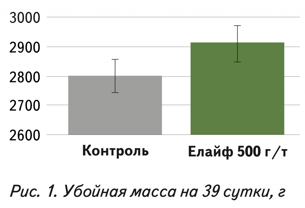1 Мясо бройлеров.png 1 Мясо бройлеров.png