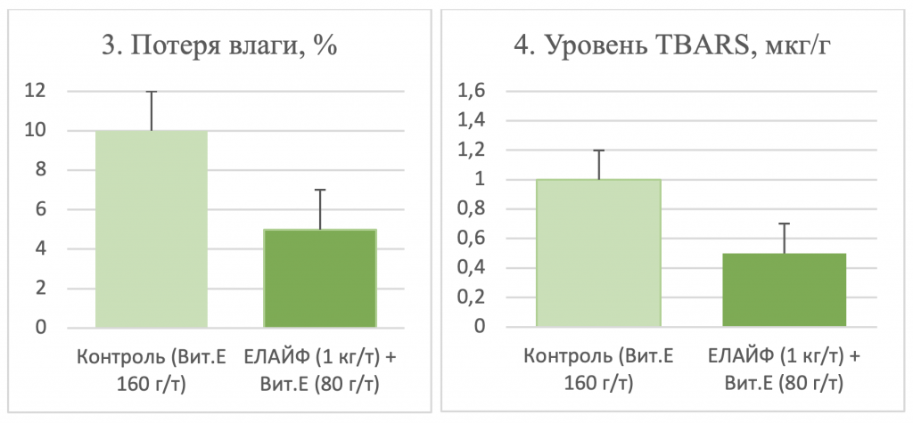 елайф свиньи 2.png елайф свиньи 2.png