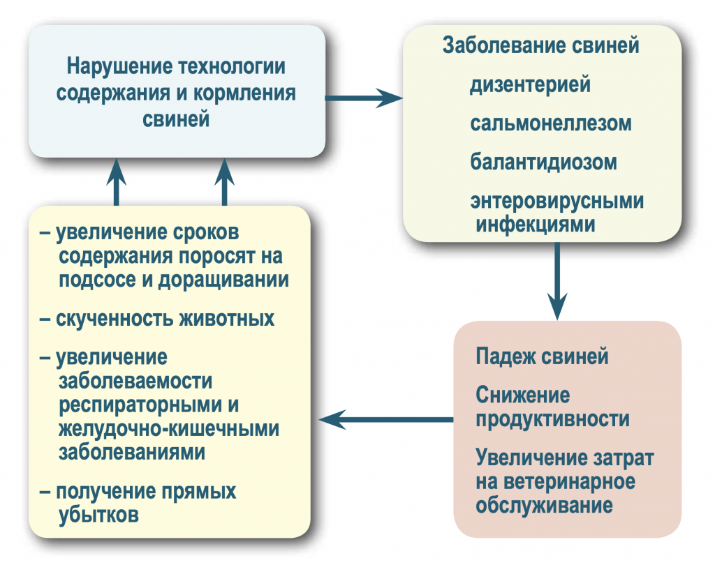 Снимок экрана 2024-12-24 в 14.54.50.png Снимок экрана 2024-12-24 в 14.54.50.png