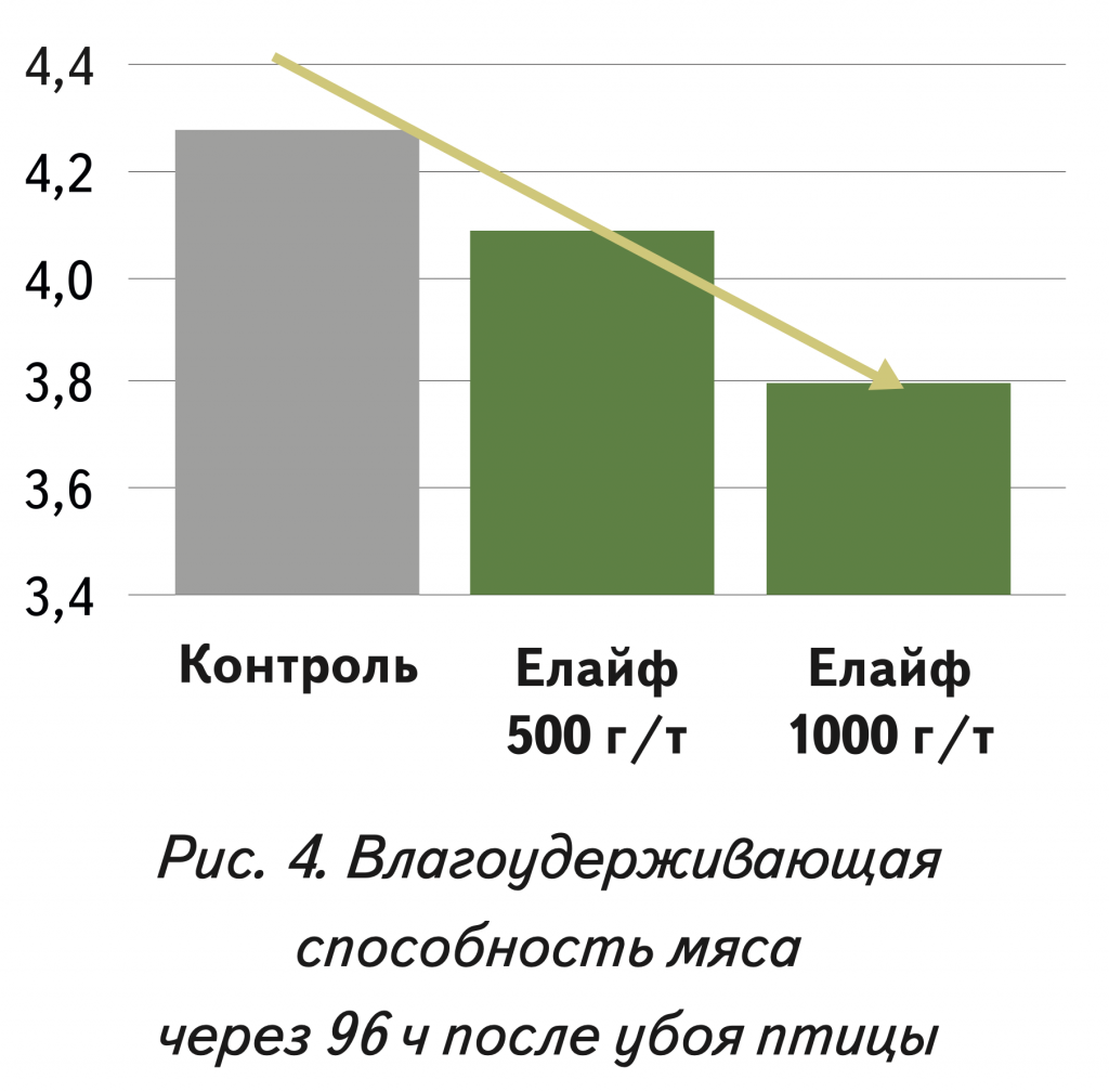 4 Мясо бройлеров.png 4 Мясо бройлеров.png