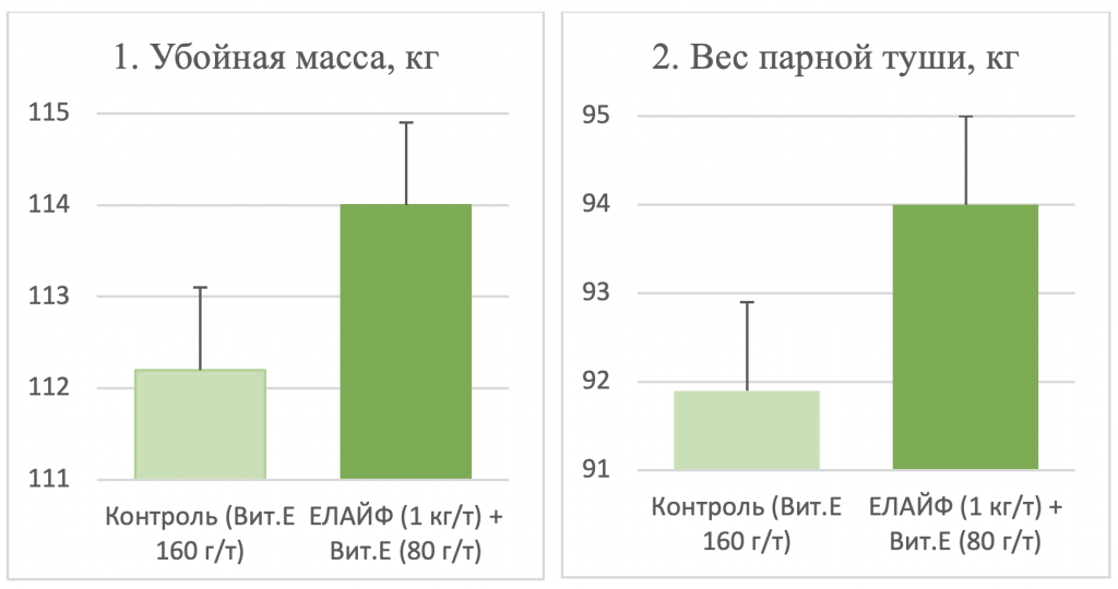 елайф свиньи 1.png елайф свиньи 1.png