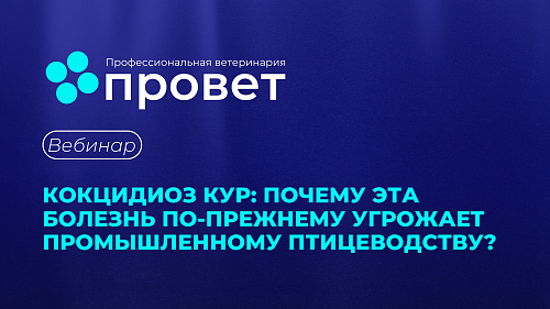 Вебинар «КОКЦИДИОЗ КУР: ПОЧЕМУ ЭТА БОЛЕЗНЬ ПО-ПРЕЖНЕМУ УГРОЖАЕТ ПРОМЫШЛЕННОМУ ПТИЦЕВОДСТВУ?»
