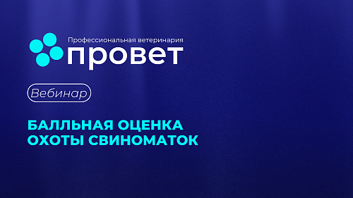 Вебинар «БАЛЛЬНАЯ ОЦЕНКА ОХОТЫ СВИНОМАТОК»