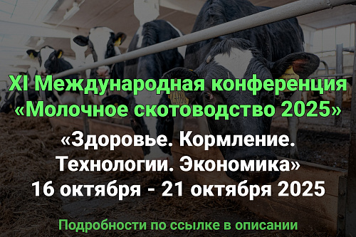 XI Международная конференция «Молочное скотоводство 2025»