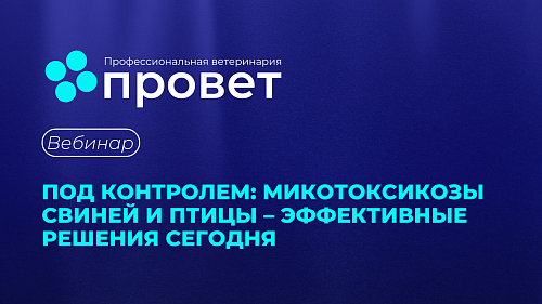 Вебинар - "Под контролем: микотоксикозы свиней и птицы - эффективные решения сегодня"